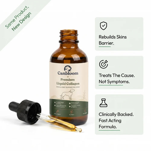 Canbloom Premium Liquid Collagen