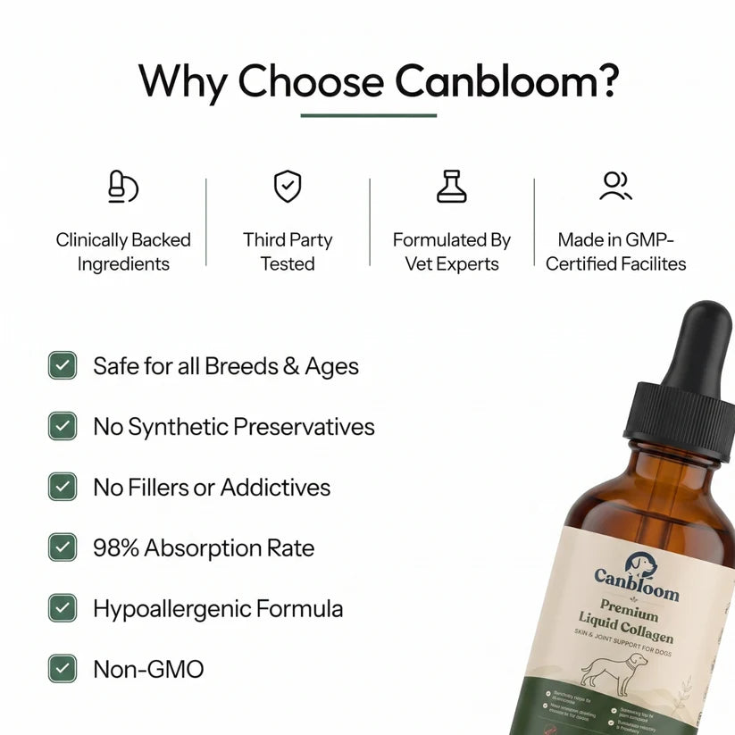Canbloom Premium Liquid Collagen