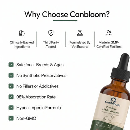 Canbloom Premium Liquid Collagen
