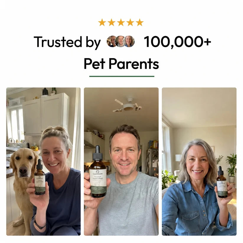 Canbloom Premium Liquid Collagen