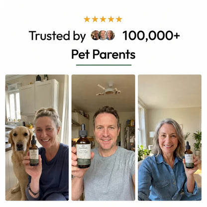 Canbloom Premium Liquid Collagen